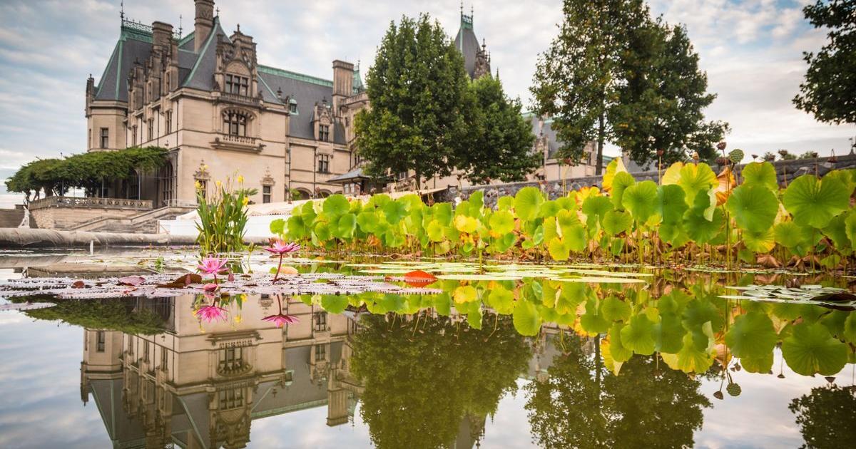 Gardens, da Vinci exhibit highlight summer at Biltmore Arts