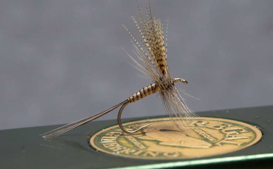 Video How to Tie a Quill Gordon Dry Fly Xpert Fly Fisher