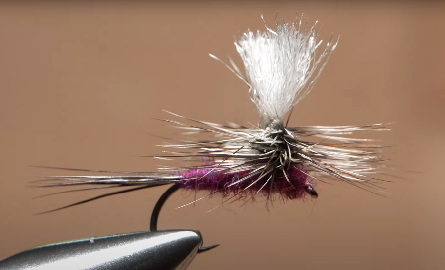 Video: How To Tie The Parachute Purple Haze - Xpert Fly Fisher