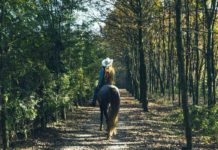 Get Away From It All At A Luxe Retreat With Outdoor Activities Galore