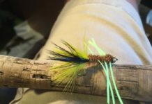 The Tequeely | News Dakota