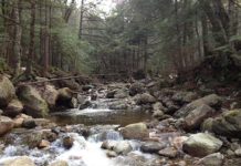 Tom Rosenbauer’s Top Tips for Finding Your Own Small Trout Stream