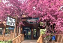 We’re Open: Taylor Creek Fly Shop