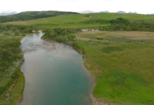 Master Class Monday: How to Catch Trout from Tailouts