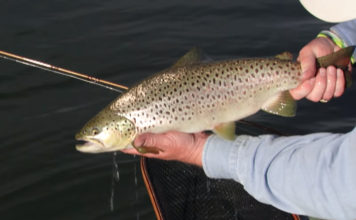 Video: A Master Class in Fly-Fishing for Trout in Lakes