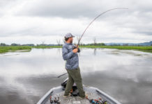 Scouting Pool 8 with Ormond