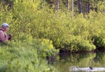 The Northern Wilds man | Duluth News Tribune