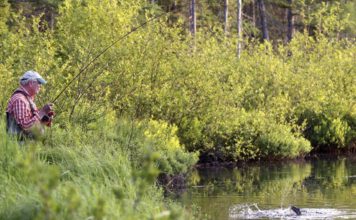The Northern Wilds man | Duluth News Tribune