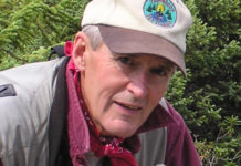 Take a shot in the dark for these fish