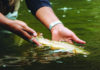 Mineral County Miner | Warmer and lower water levels of concern for fishing