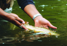 Mineral County Miner | Warmer and lower water levels of concern for fishing