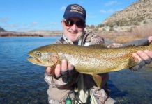 How to think like a fish: Anthony Atwell’s ‘ecological awareness’ | Adventure