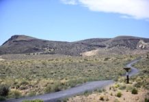 Enjoying the outdoors in our backyard | Features