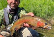 When the rainbow rose to the fly | Local