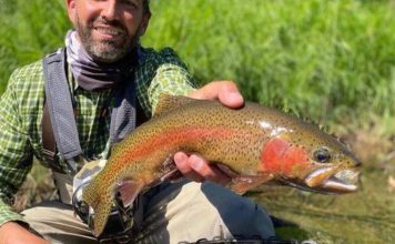 When the rainbow rose to the fly | Local