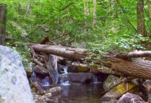 No shortage of good days | Outside