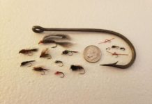 Choosing the right hook size for fishing | Local News