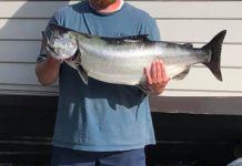Lake Erie producing mixed bag full of fish | Outdoors