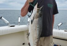 Warmer water keeps Lake Erie fishing inconsistent | Outdoors