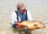 DRIFTWOOD OUTDOORS: Common carp offer exciting fishing opportunities – Sports – The Rolla Daily News – Rolla, MO