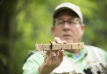 Don’t go fishing without these 5 must-have flies