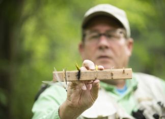 Don’t go fishing without these 5 must-have flies