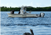 South Florida Fishing: Learn to Cast a Fly Rod & Bonefish Flies : South Florida Caribbean News