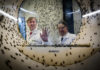 World’s largest fly factory attracting investors eyeing aquafeed expansion « Global Aquaculture Advocate