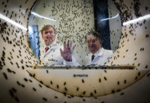 World’s largest fly factory attracting investors eyeing aquafeed expansion « Global Aquaculture Advocate