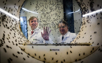 World’s largest fly factory attracting investors eyeing aquafeed expansion « Global Aquaculture Advocate