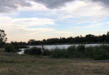 How to Catch Colorado Trout Without Getting in Your Car