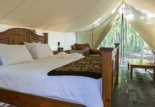 New hotels for luxe domestic travel: Travel Weekly