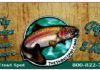 The Trout Spot Is Your Home For All Things Fly Fishing, Trout Flies & Home Decor. – The Pine Tree