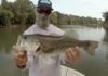 Video: How to Fly-Fish for Bass, Part I
