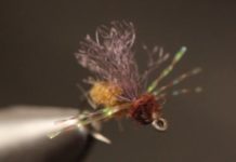 Video: How to Tie Mike’s Honey Ant