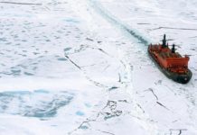 Author David Quammen on why science writing matters