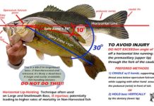 Pro Tips: Support Your Bass—Stop the Lip Grip!