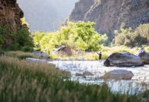 Vail Valley streams getting warmer, affecting the trout