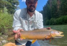 Story and Photos: An Incredible “Welcome Back to Missoula” Trout