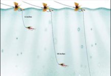 Video Tuesday Tip: How To Rig a Dry and Dropper