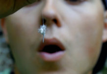 Classic Video: A Dry-Fly Story, Set on a Mountain Stream