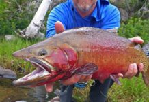 Photos and Story: Taking a Chance in the Colorado High Country
