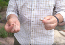 Video: How to Set Up a Hopper-Dropper Rig