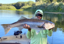 Salmon fishing best in a decade