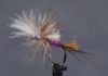 Video: How to Tie the Last Chance Purple Haze