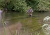 Video Pro Tip: How to Be Stealthy When Dry-Fly Fishing