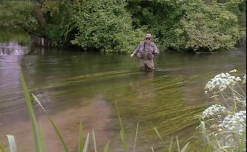 Video Pro Tip: How to Be Stealthy When Dry-Fly Fishing