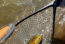 On the Fly: Aspen-area rivers, lakes fishing well heading into holiday weekend