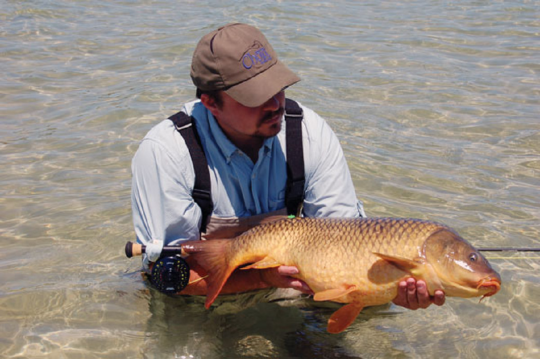 Common carp offer exciting fishing opportunities - OutDoors4webb1184344650 T1070 H98e686a4a096e46ab6f2Dfe944c2bffa28992391