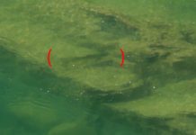 Master Class Monday: How to Fish Rock Shelves in a River